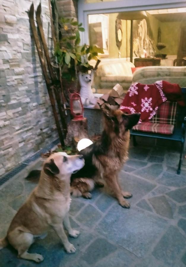 Bed & Breakfast Casa Dell'orso Lurisia
