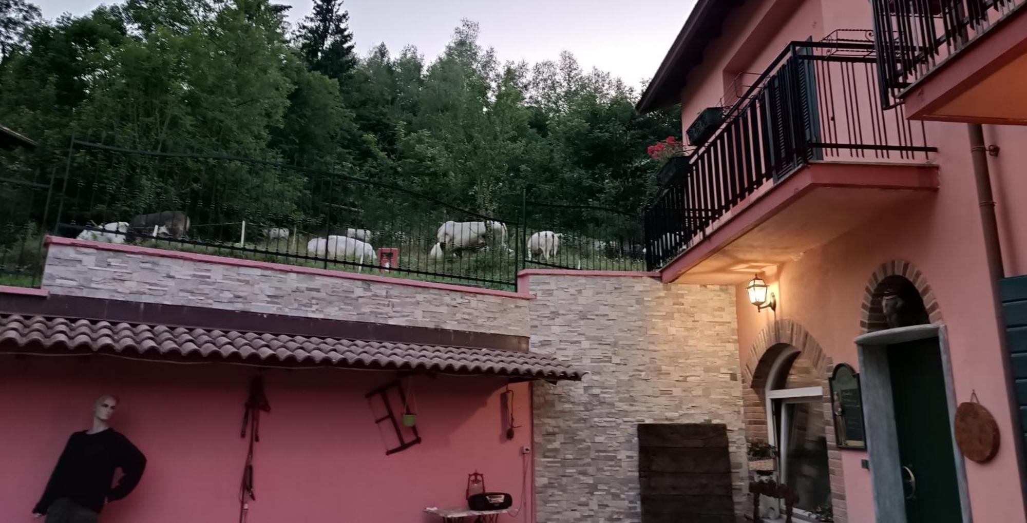 Casa Dell'orso * Lurisia