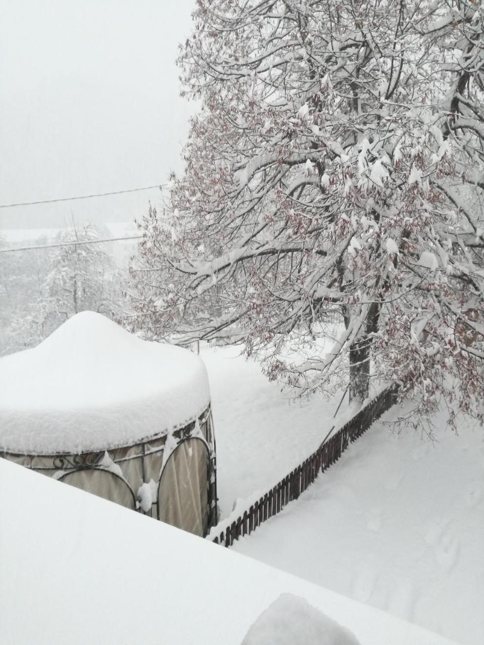 Casa Dell'orso Bed & Breakfast Lurisia